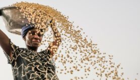 Africa’s food imports bill ‘could double by 2030’