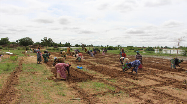 farmers prepare soil