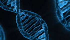 Breakthrough sickle cell gene therapy a distant hope in Africa