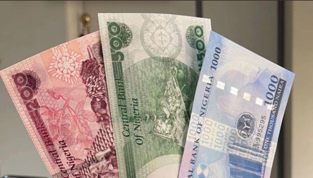 The newly designed naira notes