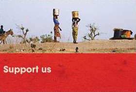 about_us_support_us_image_fileminimizer_ about_us_support_us_image_fileminimizer_