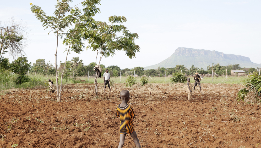 Lorengechora, Karamoja (Uganda). The field outside the health centre. Karimojong people are a Nilotic ethnicity of the plains, who emigrated from Ethiopia in the 18th century.
