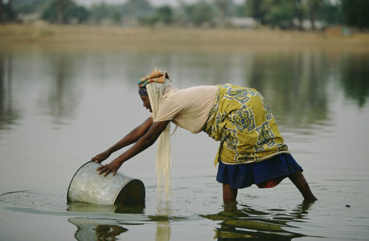 A woman collecting water from a lake used by cattle, northern Ghana
