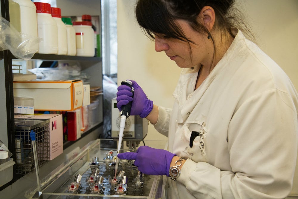 Katrien Vanbocxlaer testing the release of a [potential?] drug using devices called Franz cells. The cells have two chambers separated by a membrane of mouse skin, to model the drug&rsquo;s application to skin. The drug is put in the top chamber and samples taken from the bottom one to see how much of the drug has passed through
