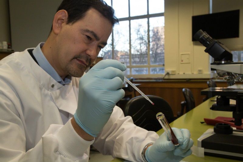 Researcher Matthew Yeo places the gut contents of a Chagas spreading insect in a test tube for DNA analysis. This can be used to ascertain the particular strain of parasite the insect carries, to assess if it is particularly susceptible to drugs
