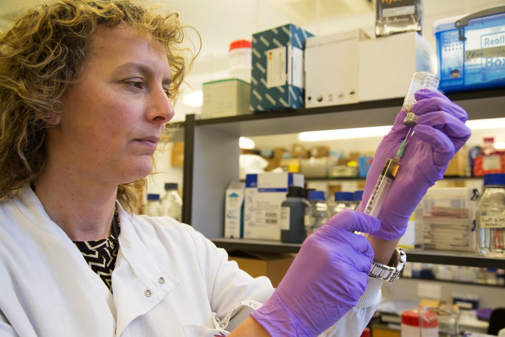 Vanessa Yardley removes the drug AmBisome &nbsp;from a vial. The drug is used to treat leishmaniasis&nbsp;

