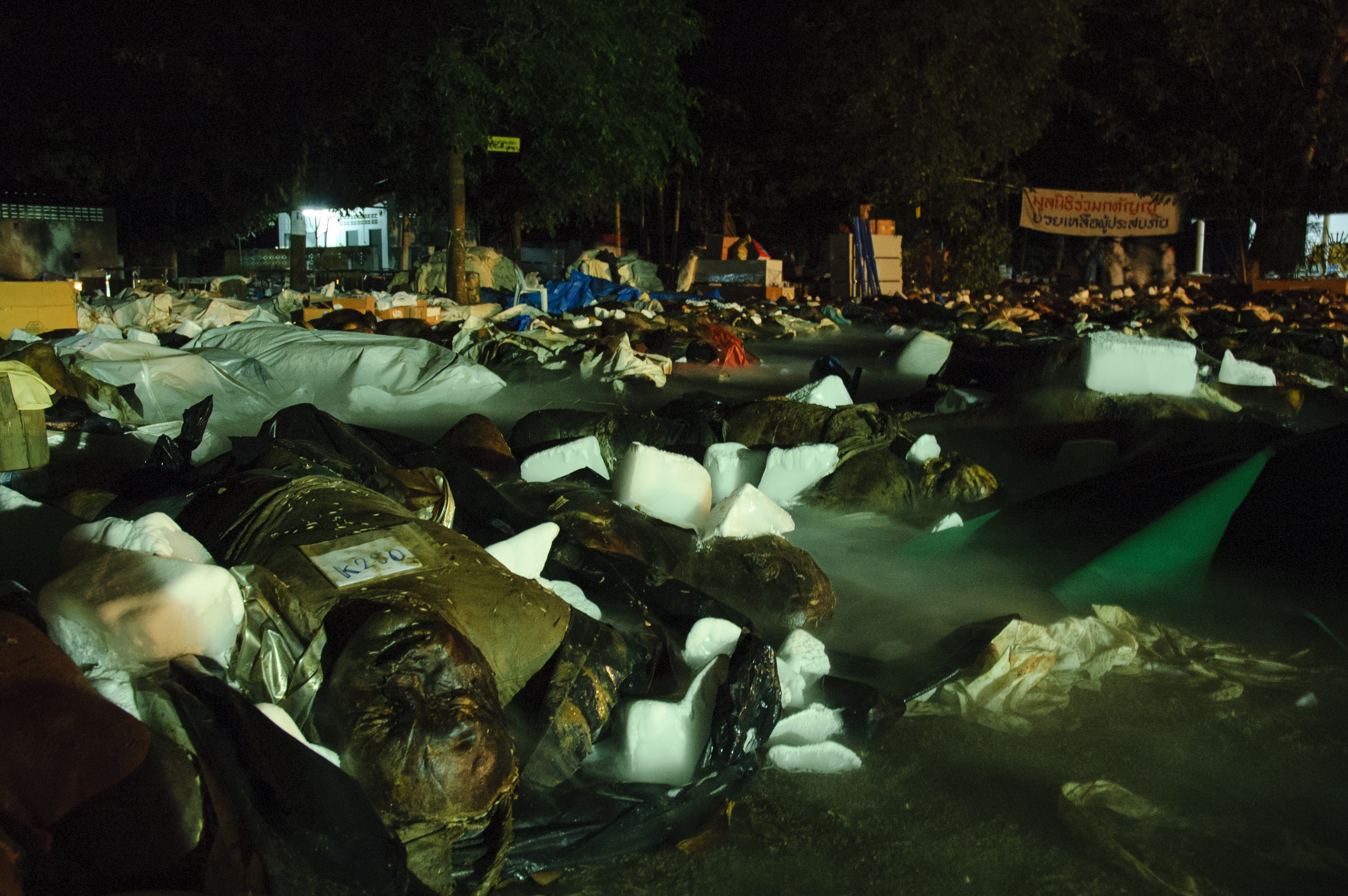 Corpses are set out in rows in front of Wat Bang Muang near Khao Lak