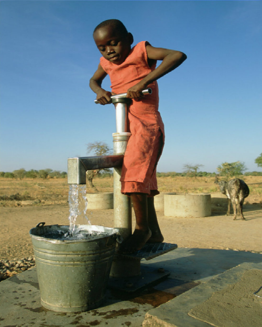 A girl pumps water at a well in northern Ghana. Many children in Africa miss school due to time spent collecting water. Girls are mainly responsible for collecting water for their families
