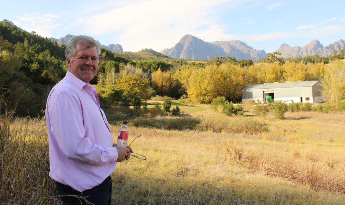 Michael Stander, CEO of nutraceuticals company Cape Kingdom, which develops health products using the plant under an agreement that sees three per cent of revenue go to the San and Khoi people. A South African law requires businesses dealing with medicinal plants to adopt a benefit-sharing agreement
