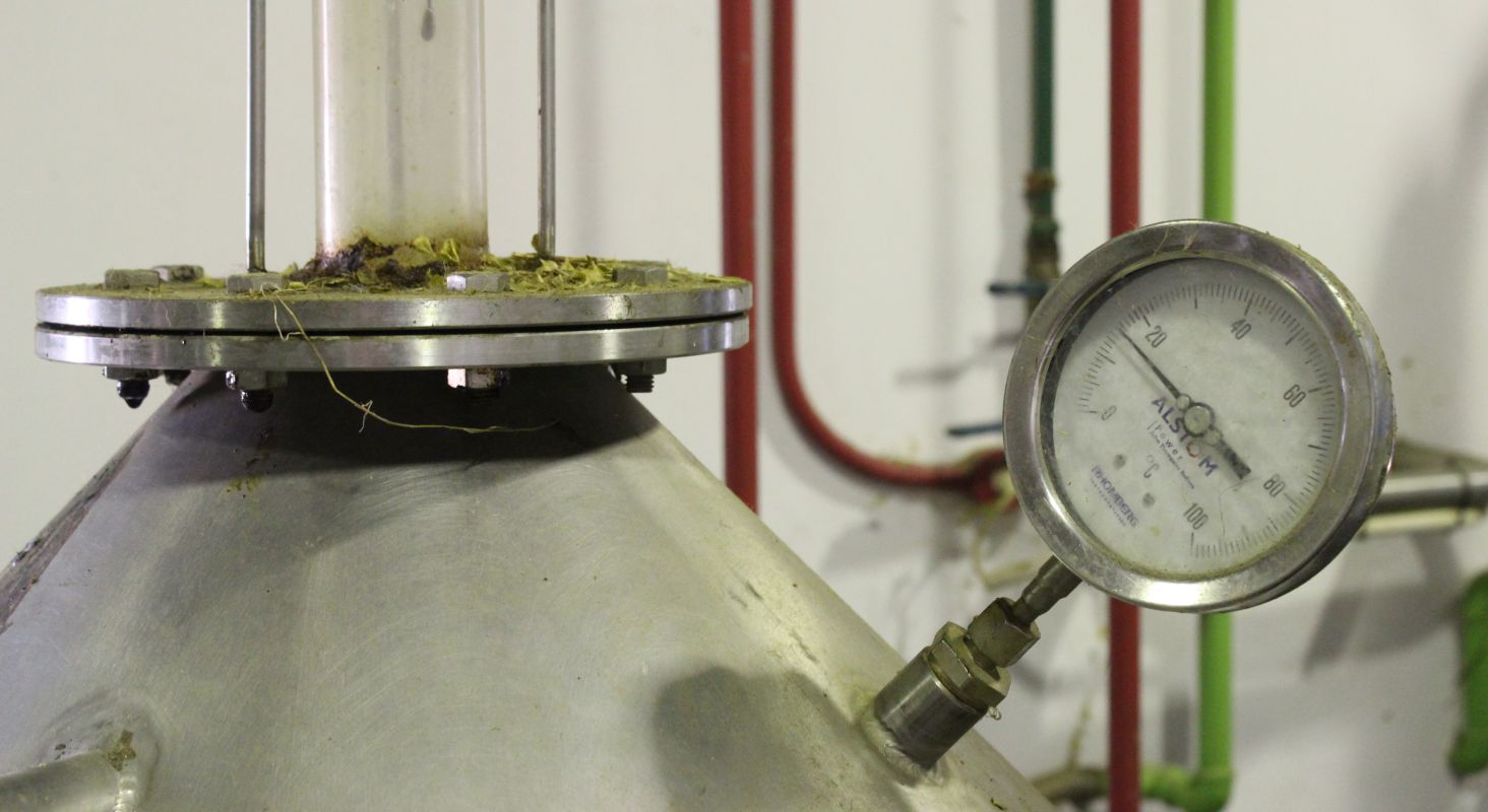 In its Paarl distillery, the company uses a patented extraction system. “Science gives us the ability to add value” to the plant’s properties, says Stander. This, along with indigenous knowledge of these properties, enables the company to bring in revenue 

