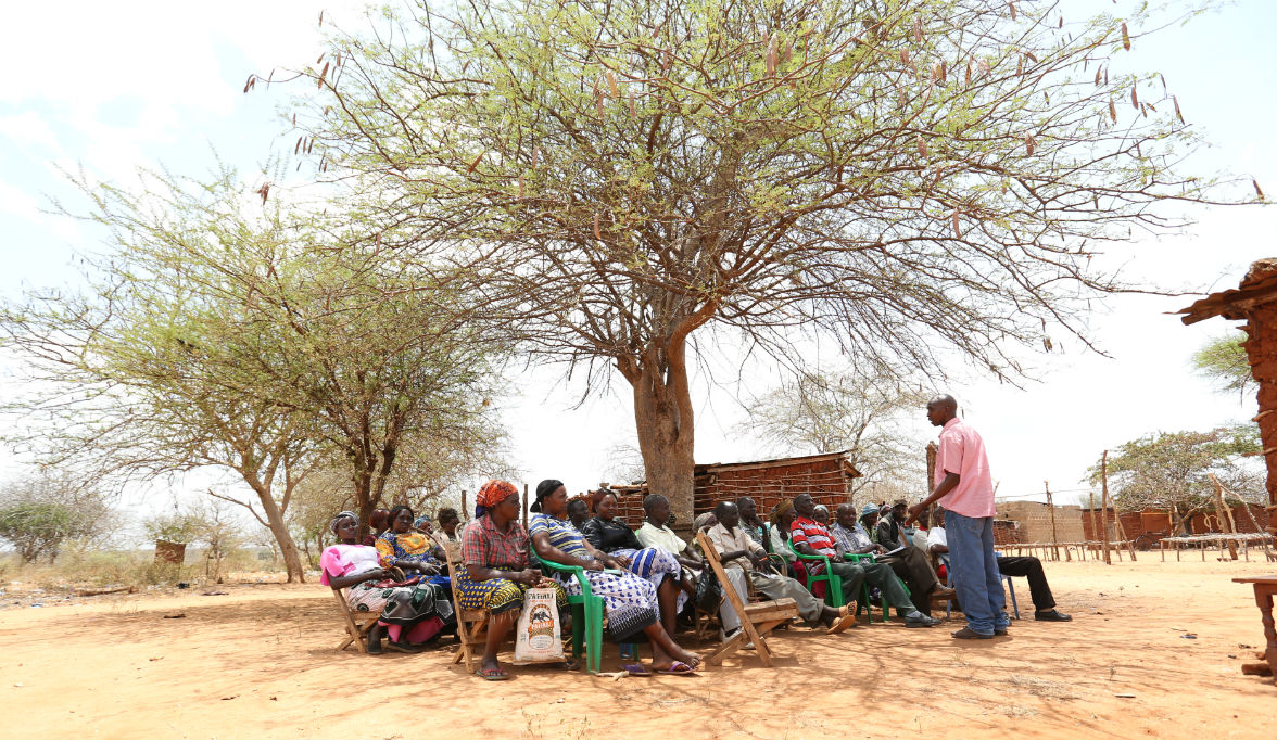 Smallholder farmers in a remote, arid and impoverished region of Kitui County of Kenya have been losing up to about 80 per cent of their harvests due to drought related impacts
