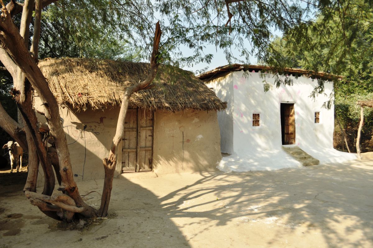 Traditional and new building in southern Sindh, built by a community supported by IOM and the Heritage Foundation of Pakistan. The new structure, in white, is far stronger and more flood resistant than the traditional one and shows some key differences: a raised platform, extended roof eaves and good quality lime-based plasters

