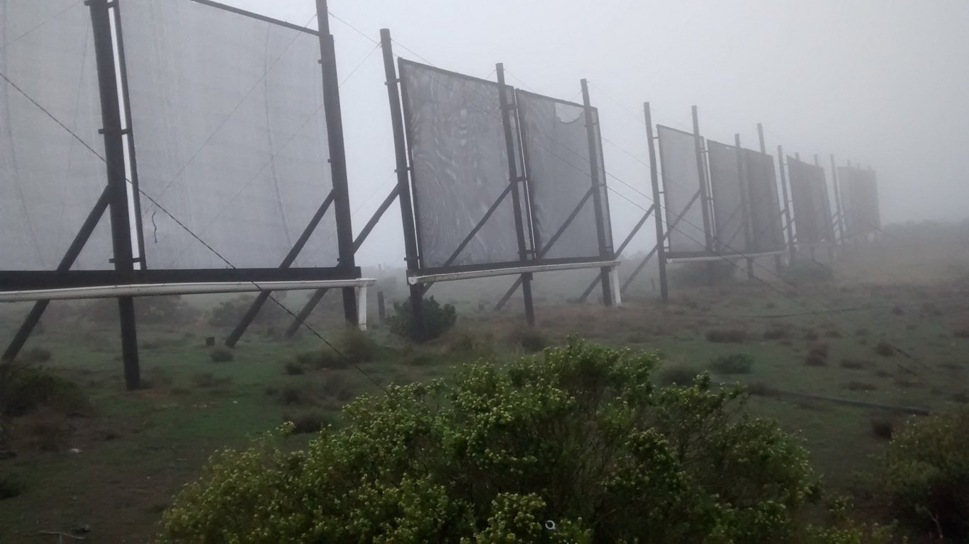The Pe&ntilde;a Blanca community has 12 fog catchers measuring 9 square metres that provide 2,000 litres of water each month. This is being used for reforesting the Cerro Grande hill. Soon they will install 10 more fog catchers.
