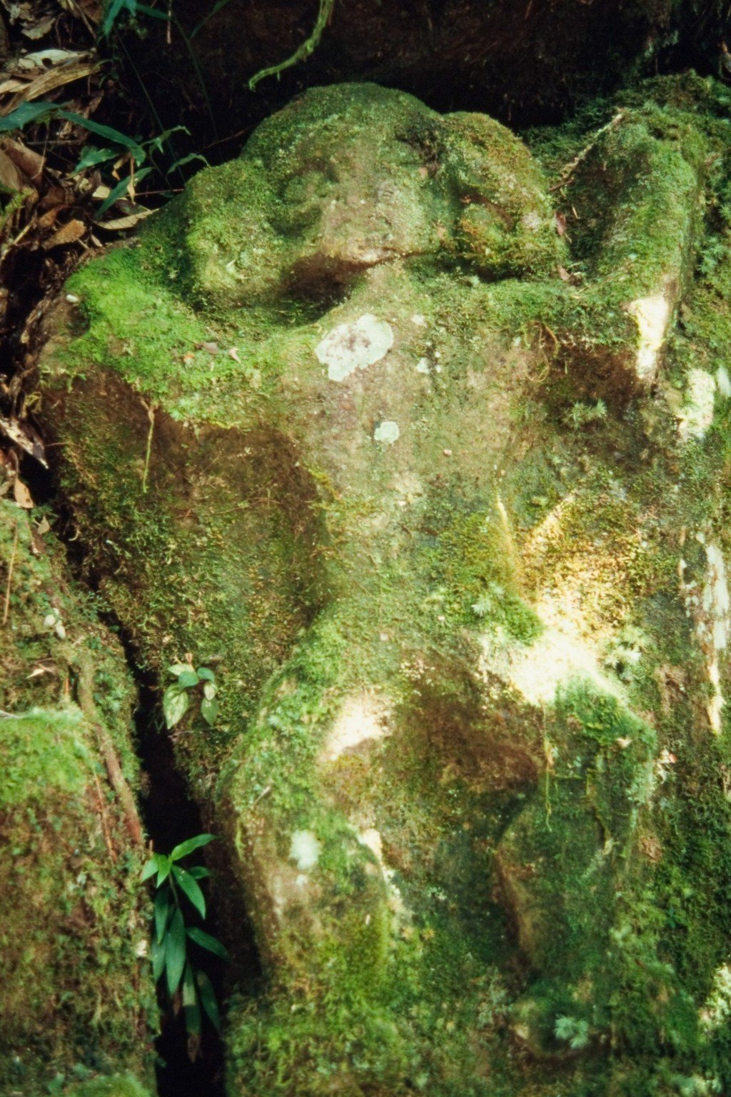 An ancient carved figure keeps watch from a mountain ridge
