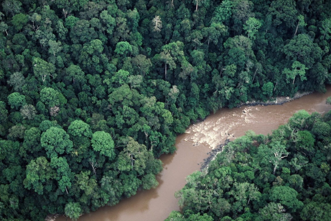 One of the river&rsquo;s upper tributaries
