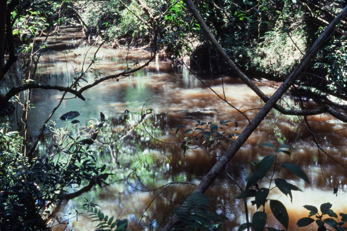 A tranquil river scene&nbsp;
