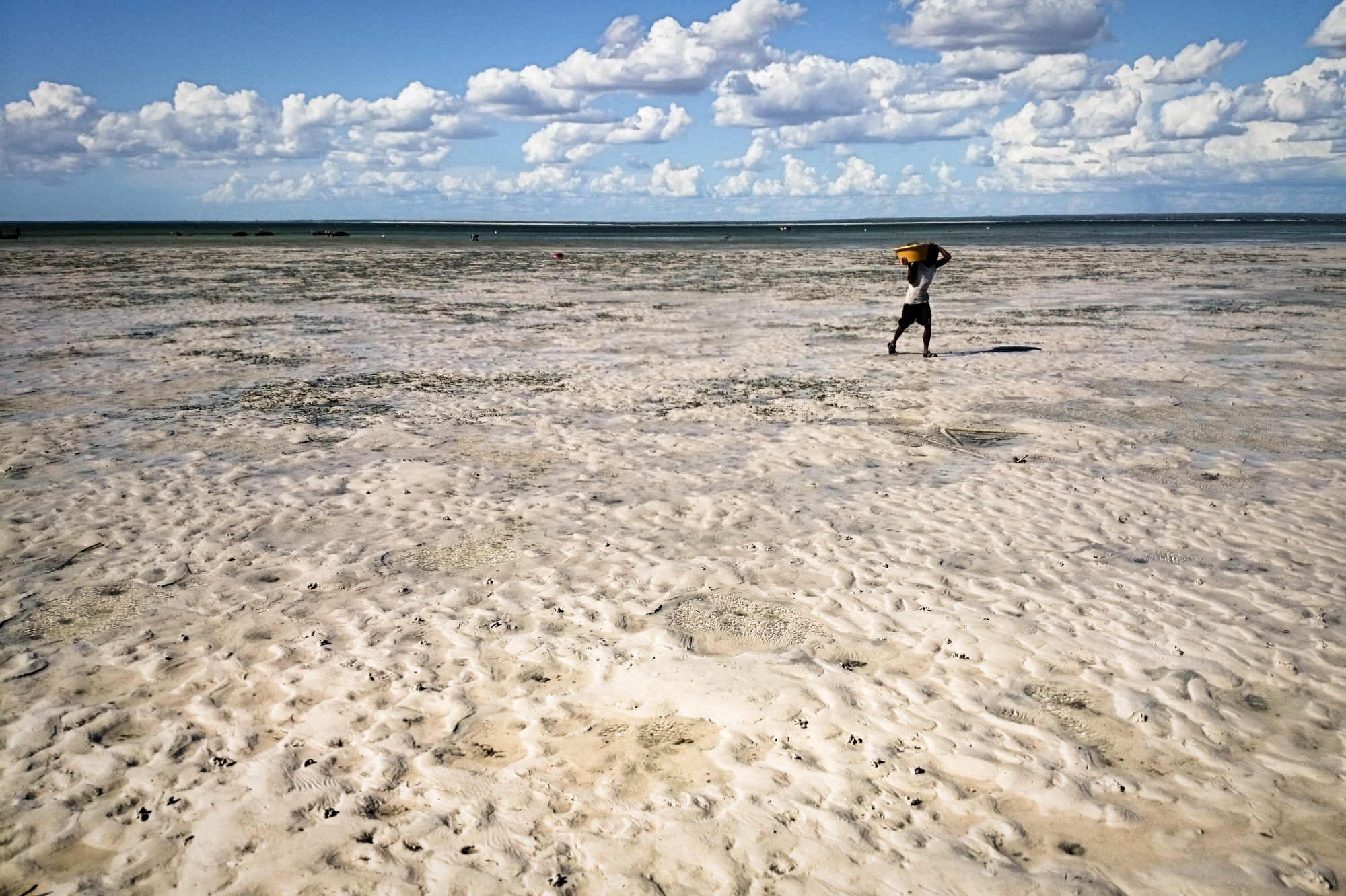 
	Sand, wind, and sky — a fisherman carries the day’s catch in Madagascar. Herding and fishing need large areas of land if local communities are to keep up with their livelihoods.
