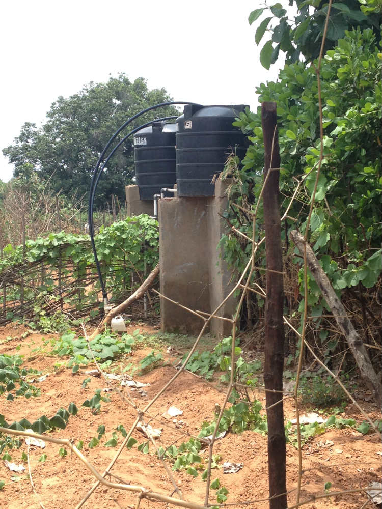 Access to electricity boosts agricultural productivity by powering essential equipment such as water pumps
