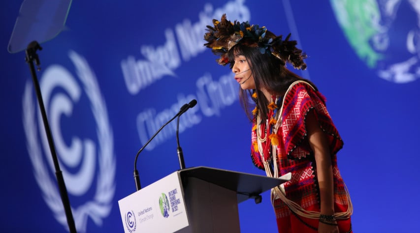 Indegeniuos deleagte