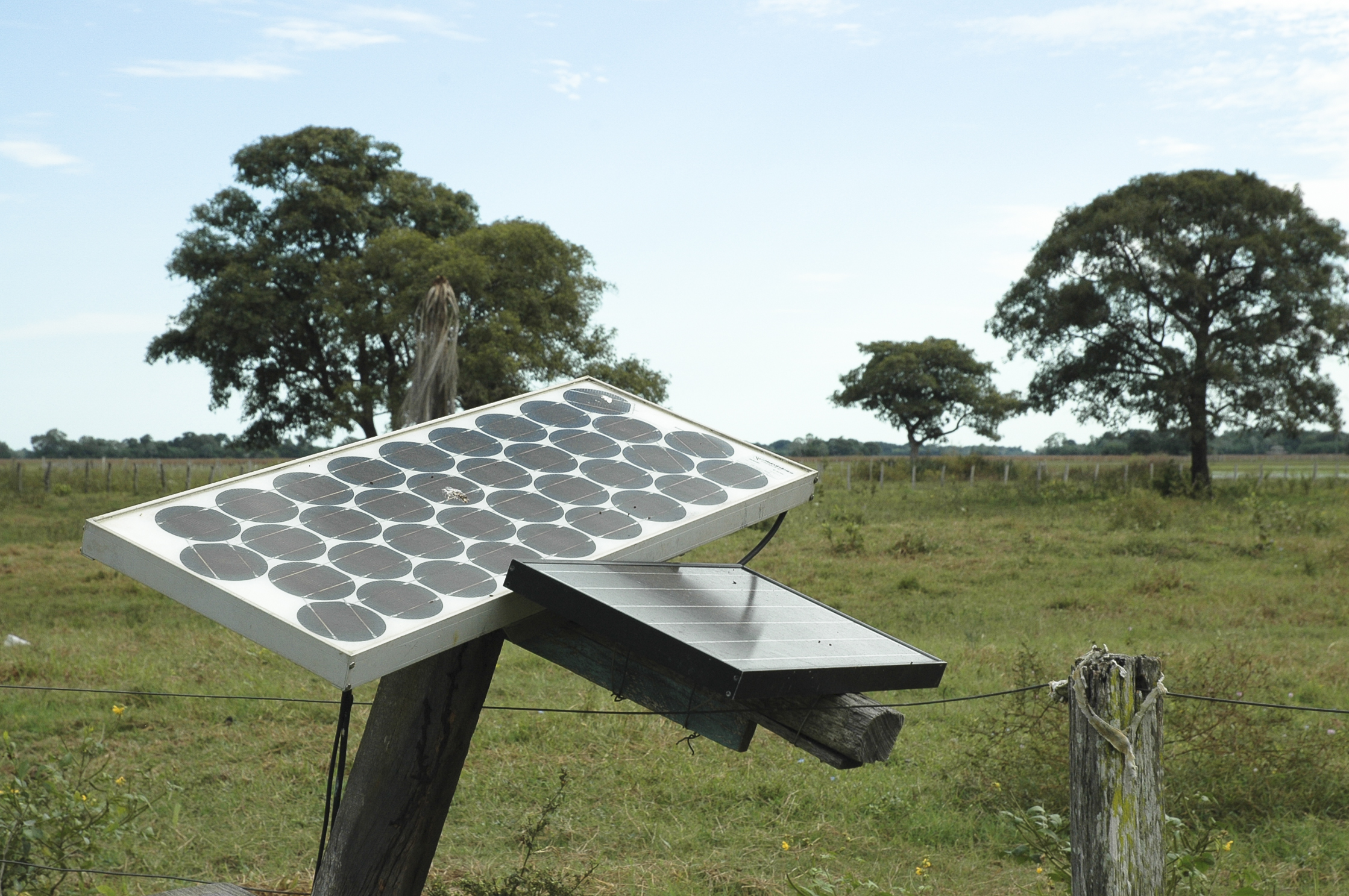Panel solar-fiocruz-rodrigo_mexas.jpg