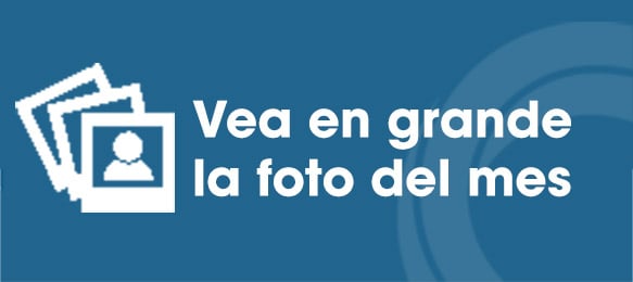Vea la foto en grande