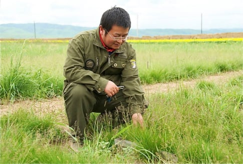 Image 5 Herders Tibet in piece.jpg