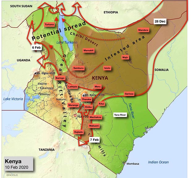 Desert Locust spread from Kenya to Uganda and Tanzania