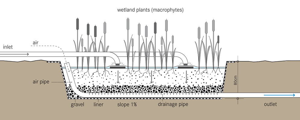Vertical Flow Constructed Wetland diagram