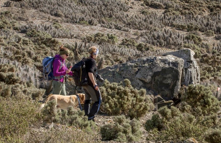 8-Chile especies invasoras-isla choros.jpg