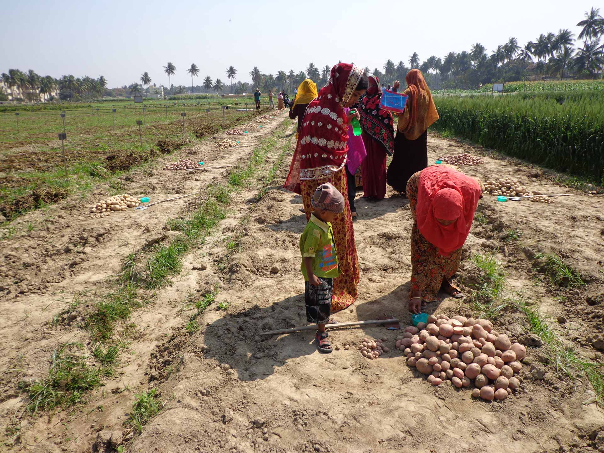 papa-en-marte-4-bangladesh.jpg