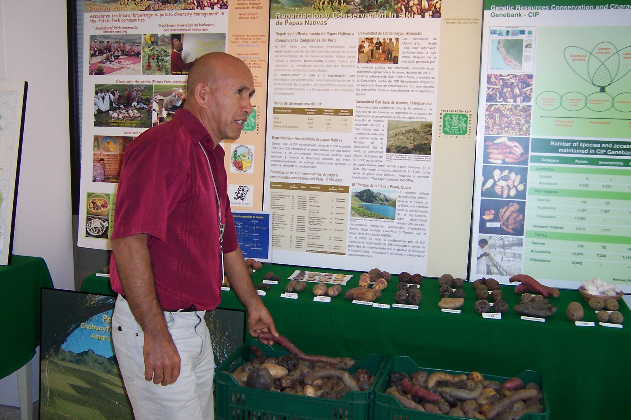papa-en-marte-5-walter amoros by zp.JPG