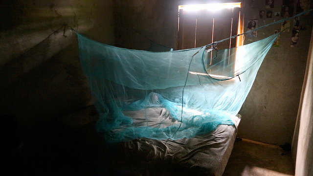 Despistaje de malaria PAHO-WHO