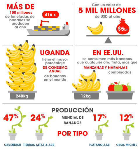 Estadísticas de banano