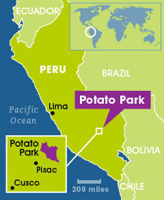 Potato-Park SciDev.jpg