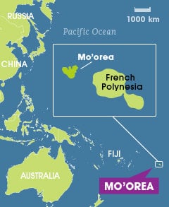 rsz_moorea.jpg