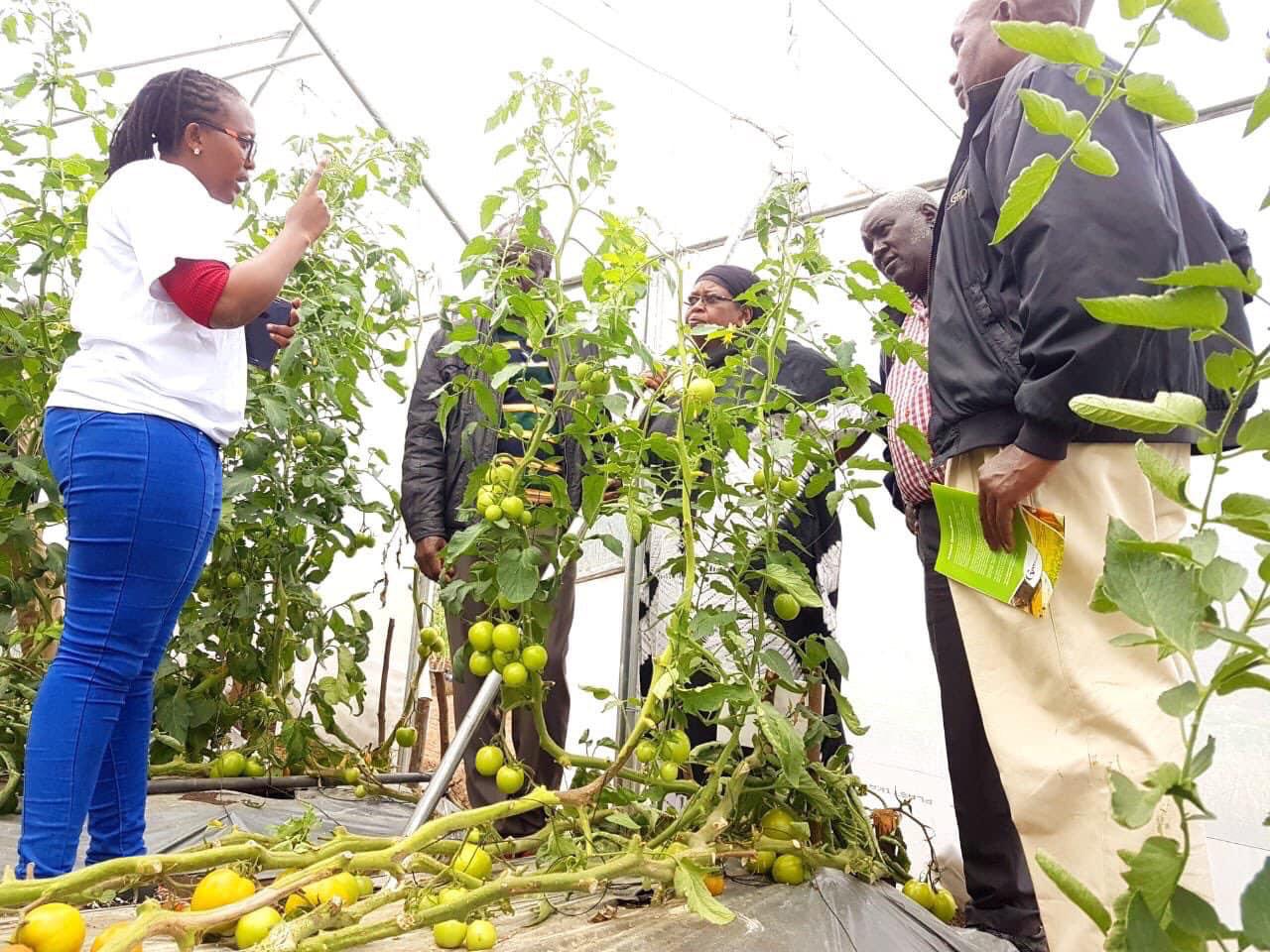 Picture 5-Rodgers Kirwa- iAgribiz Training