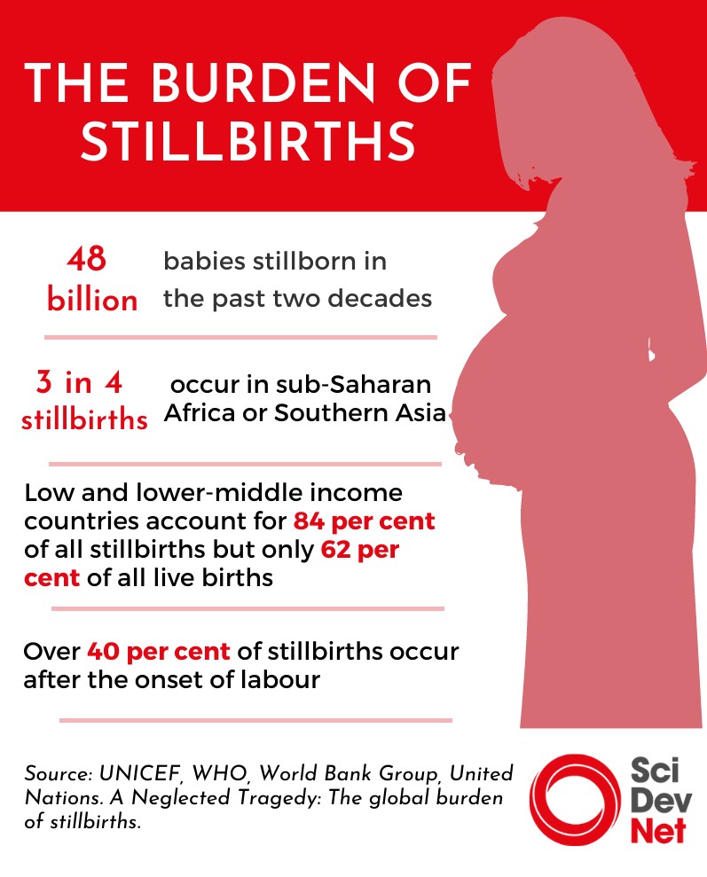 Pregnancy infographics