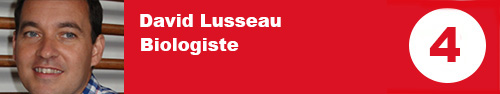 David Lusseau Banner